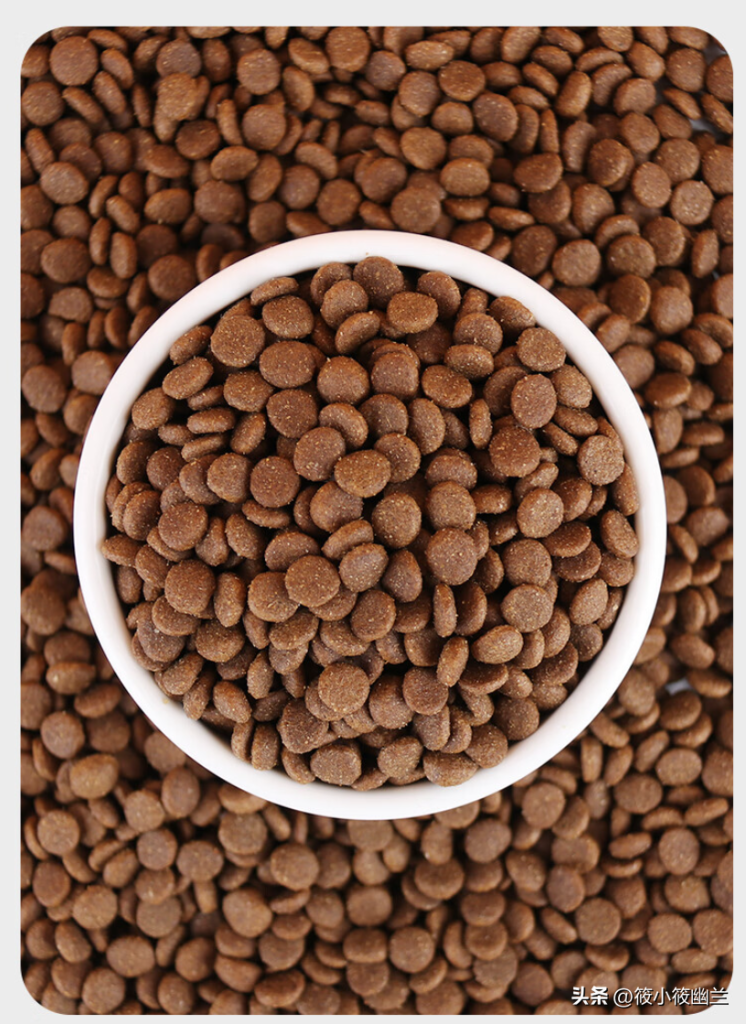 养金毛的教程(教你如何养好一只金毛犬)(图9)