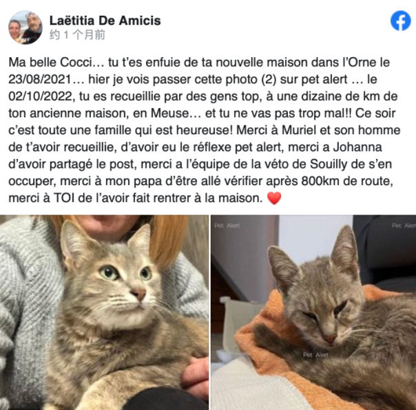 欧洲最强猫猫:横跨600公里只为回家(图1)