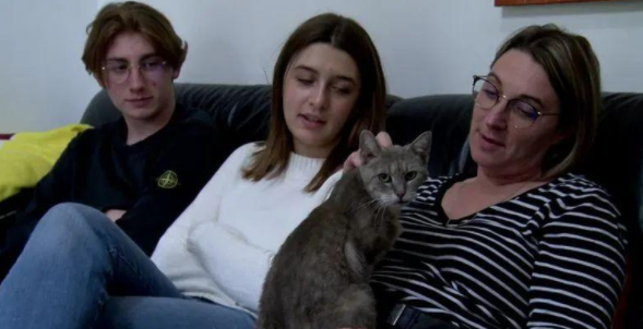 欧洲最强猫猫:横跨600公里只为回家(图2)