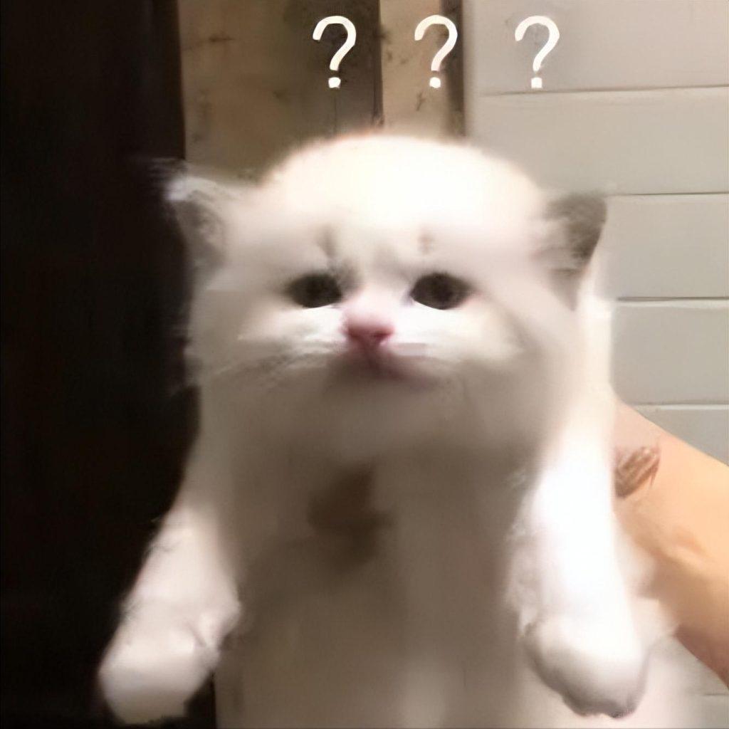 猫猫不能喝牛奶,猫猫在喝了牛奶后会产生多种不良反应(图1)