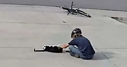 猫咪只有一只眼睛样貌劝退路人,却收获友情(图3)