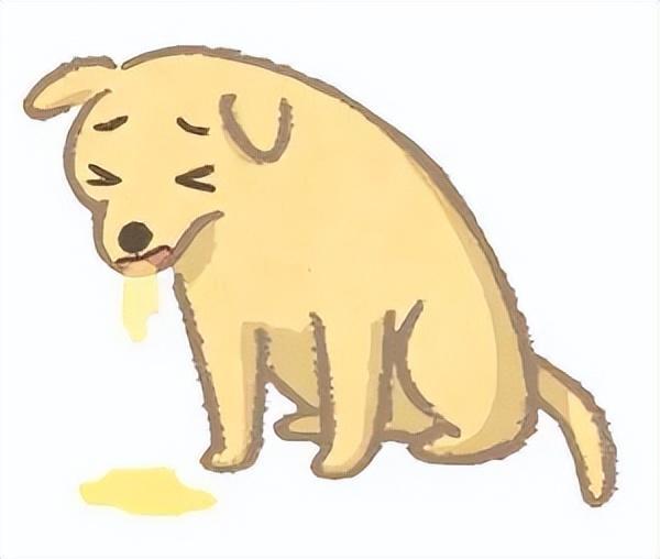 狗狗得了肠胃炎通常会有什么症状?该如何治疗?(图2)