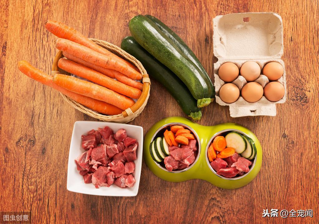 猫狗为什么会罹患贫血症?猫狗贫血症的治疗和预防(图8)