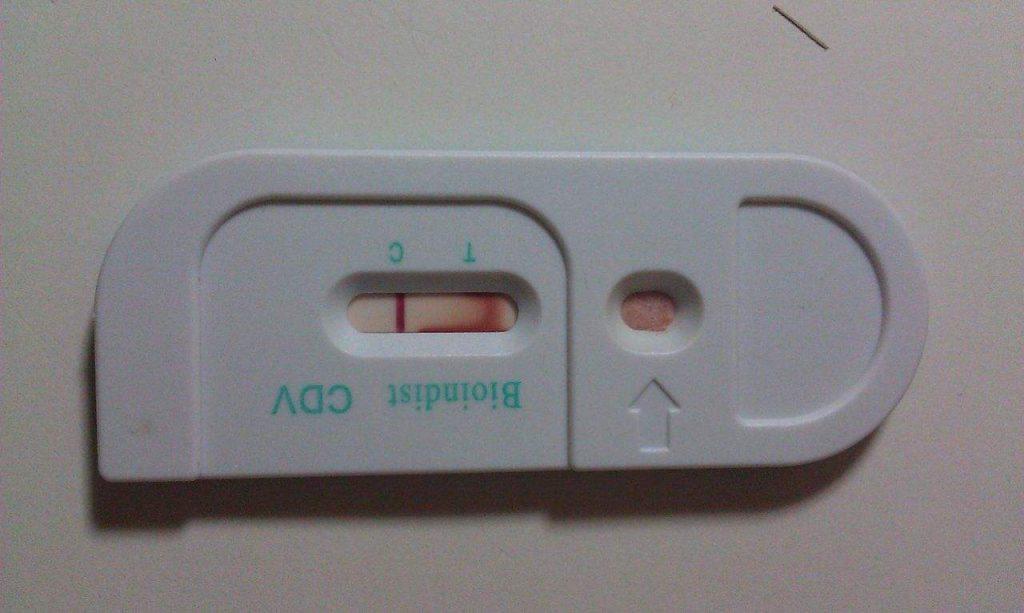 狗狗咳嗽是怎么回事?常比较常见的狗狗咳嗽的原因分析及解决方案(图3)