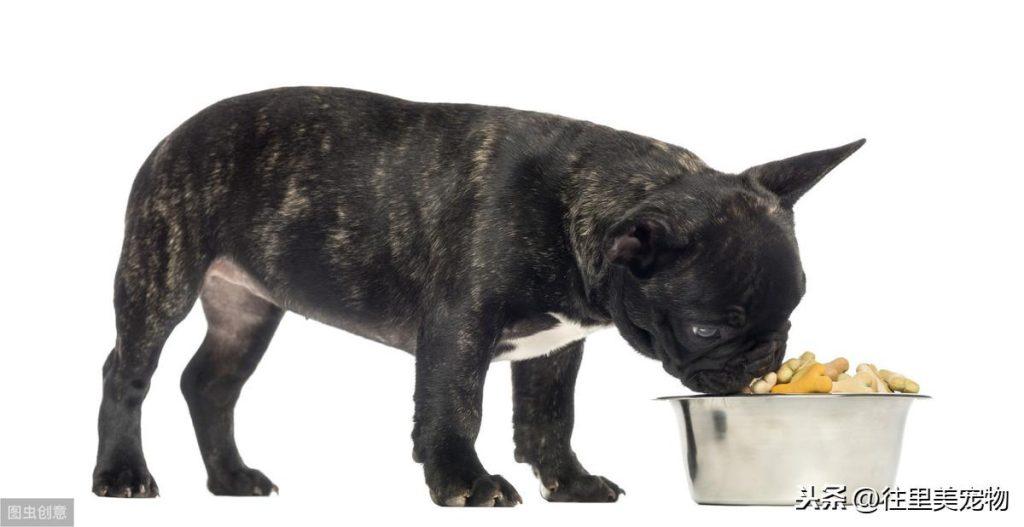 狗狗挑食怎么办?介绍3种自己在家就可以做的狗粮,让狗狗胃口大开(图4)