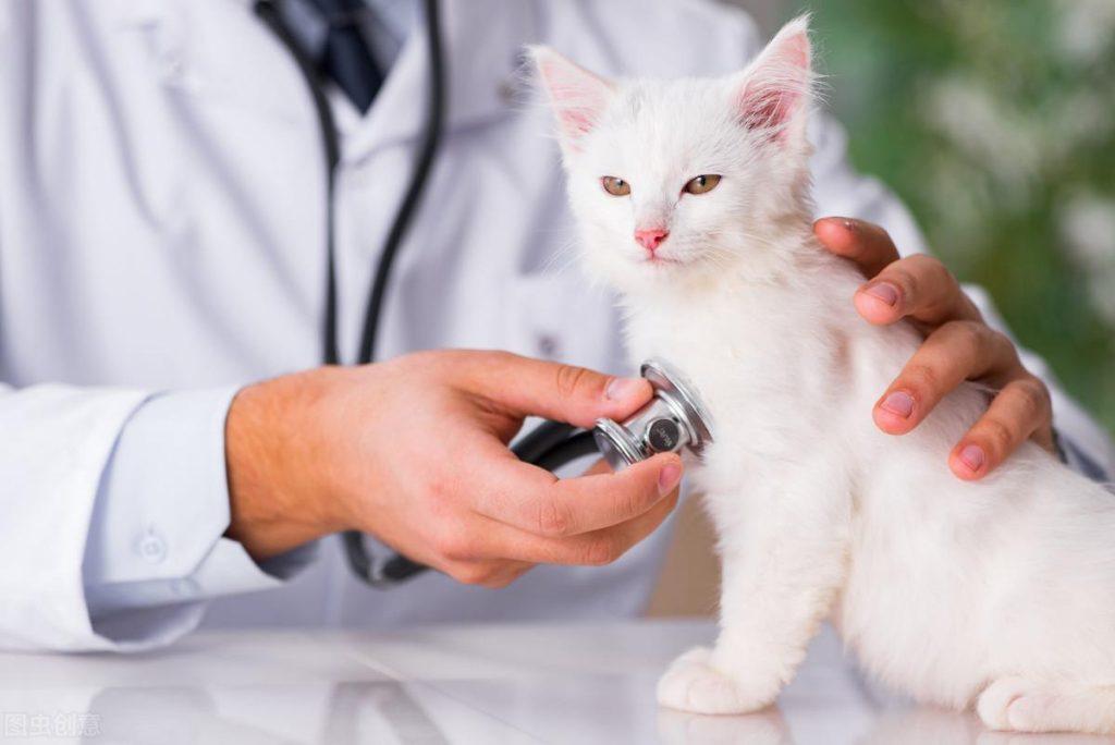 养宠家庭该如何灭蚊?养宠家庭可不可以点蚊香灭蚊?(图4)