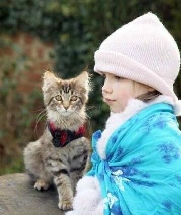 一个5岁的自闭症女孩和一只猫咪之间的感人故事(图1)