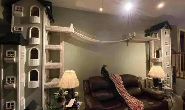 男子给猫修两栋六层“别墅”,网友:人不如猫!(图1)