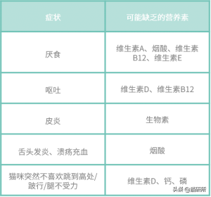 猫咪营养膏的正确喂食方法是什么?(图10)