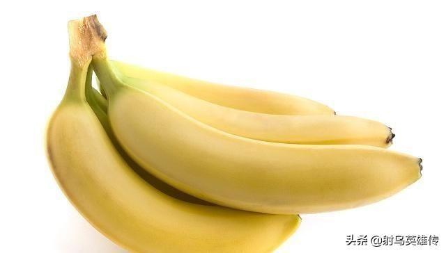 狗狗不长个子怎么办?铲屎官应多多注意这5点!(图5)