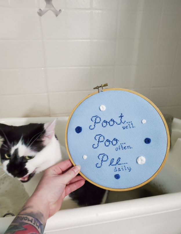 一只奶牛猫长得会有多潦草?看到第一只我就震惊了(图13)