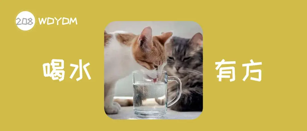 如何增加猫咪的饮水量?猫咪不爱喝水会有什么危害吗?(图1)
