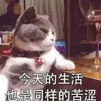 如何增加猫咪的饮水量?猫咪不爱喝水会有什么危害吗?(图4)
