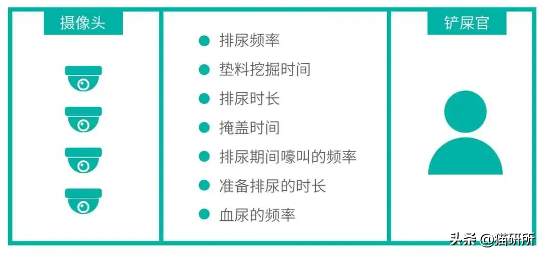 如何在日常生活中判断猫咪尿尿是否正常?患病的猫咪在排尿时会嚎叫吗?(图2)