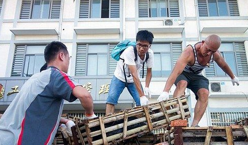 江苏非法货车被举报 上千只被贩卖的猫咪获救(图2)