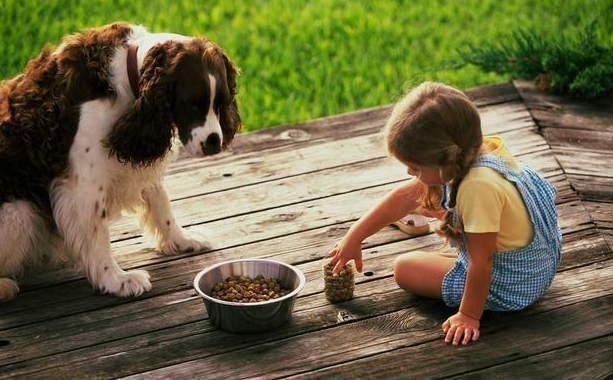 新手养宠 | 狗狗出现这些问题,都是狗狗缺钙“惹”来的(图2)