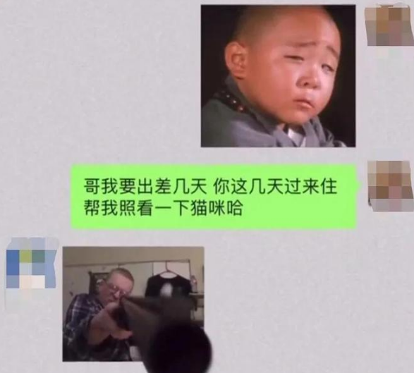 “拜托亲哥帮忙照顾猫,结果……我和猫都快没命了!”(图1)