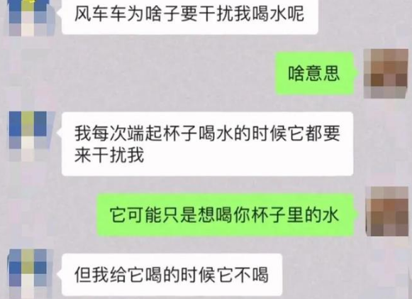 “拜托亲哥帮忙照顾猫,结果……我和猫都快没命了!”(图8)