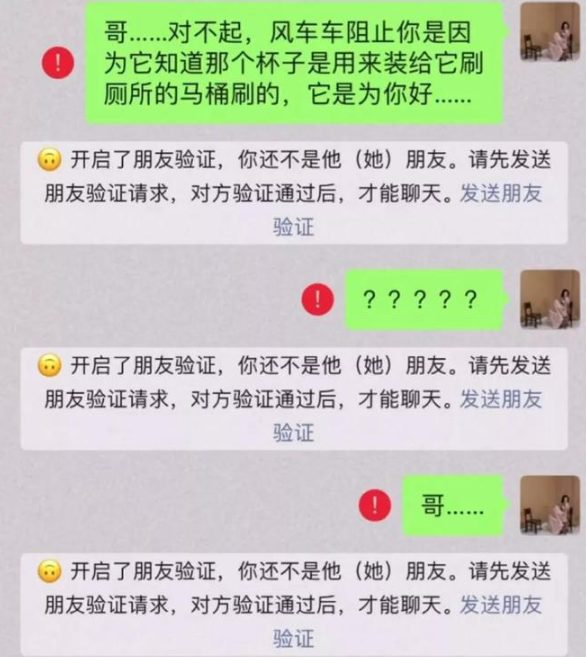 “拜托亲哥帮忙照顾猫,结果……我和猫都快没命了!”(图12)