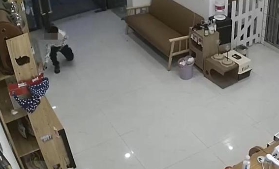 男孩放生宠物店猫咪,家长却称店主管理不善(图1)