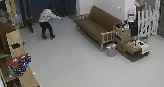 男孩放生宠物店猫咪,家长却称店主管理不善(图2)