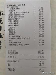 猫咪特别爱生病吗?给猫看病到底有多贵?(图8)