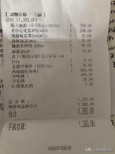 猫咪特别爱生病吗?给猫看病到底有多贵?(图9)