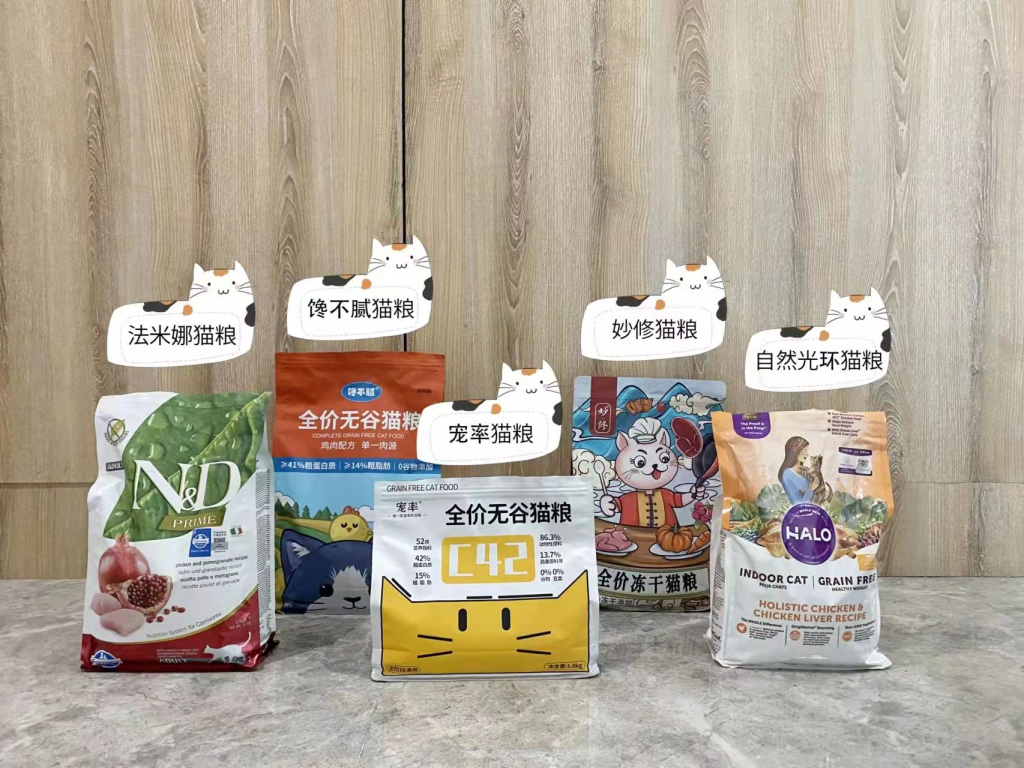 如何正确训练猫咪?盘点错误训猫方式,新手看完,不用愁(图7)