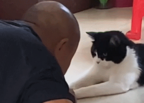 老爸强烈反对养猫,隔段时间后像换了个人(图2)