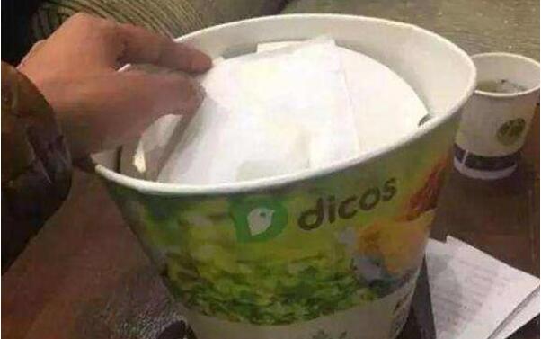 铲屎官偷带猫咪上车,伪装成猫咪全家桶,猫咪:铲屎官要吃我?(图1)