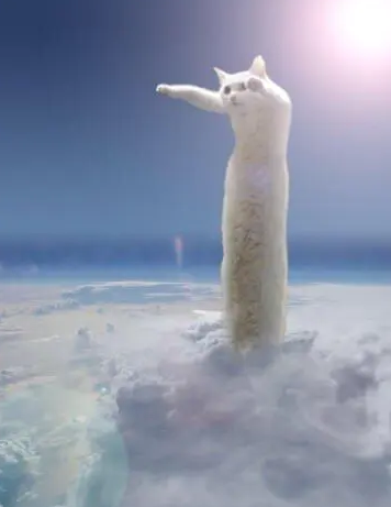 路上看见一只猫觉得它身体好长,网友们又拿来恶搞,根本就不科(图3)