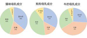 新生猫咪的营养问题(哺乳期间要注意什么?)(图2)