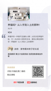 猫咪患了猫鼻支该怎么办?怎么照顾患了猫鼻支的猫咪?(图8)