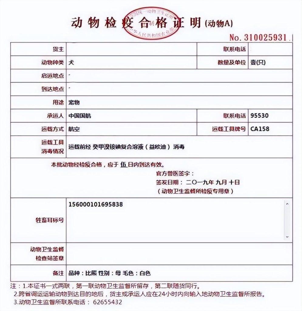 火车托运和飞机托运宠物攻略!宠物托运的正确打开方式(图2)