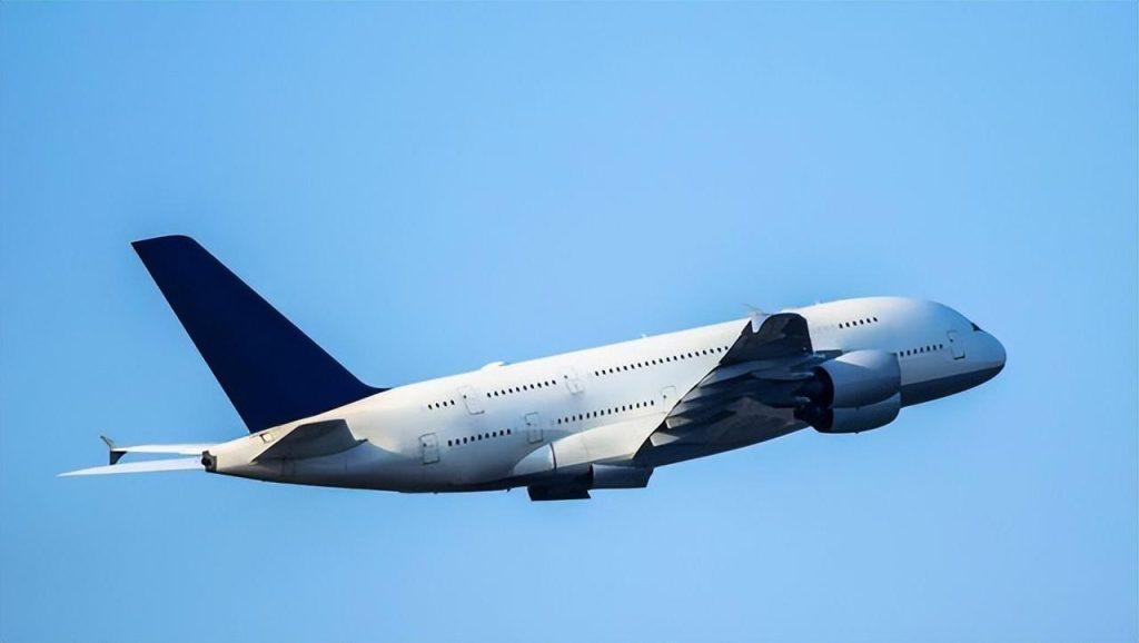 火车托运和飞机托运宠物攻略!宠物托运的正确打开方式(图4)