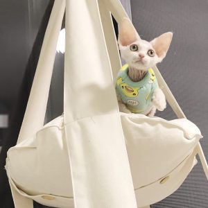 德文卷毛猫的市场价是怎样的?德文卷毛猫为什么那么贵?(图3)