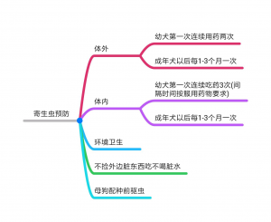 了解猫狗这6种常见体内寄生虫,怎么去预防它?(图14)