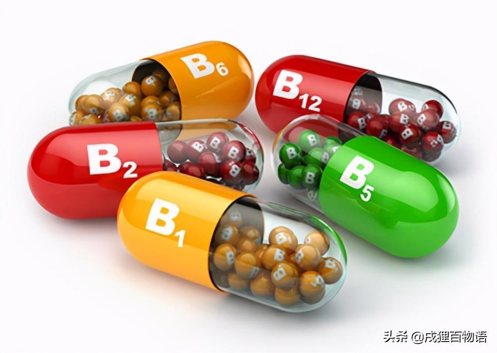 狗狗贫血有哪些特征?家长应该怎样正确应对狗狗贫血?(图3)