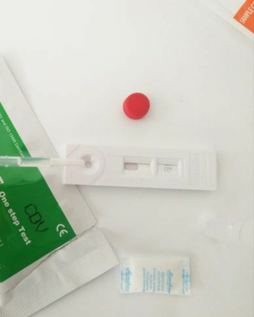 如何确诊犬瘟热病毒?怎么区分犬瘟和普通感冒呢?(图3)