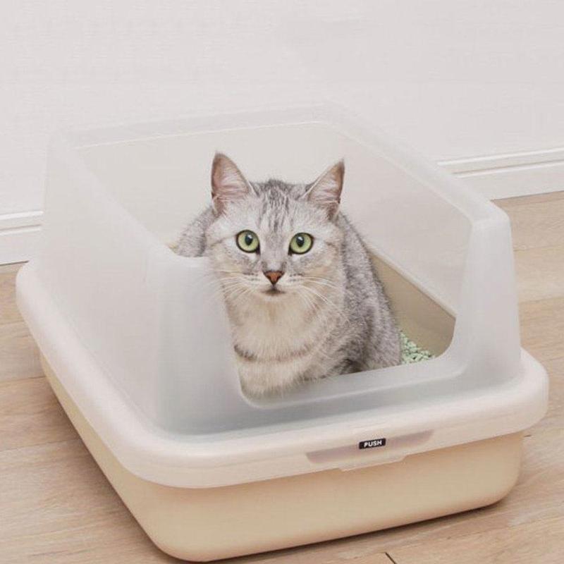 猫咪清洁安排及护理,新手养猫必看!让你的养猫之路更加省心!(图4)