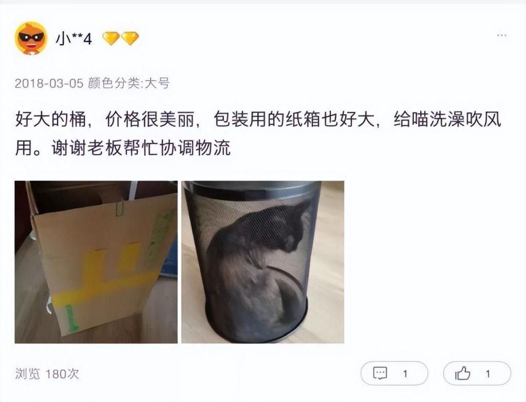 经常洗澡的猫咪很难给它吹干毛发?猫咪洗澡后吹干的小妙招(图5)