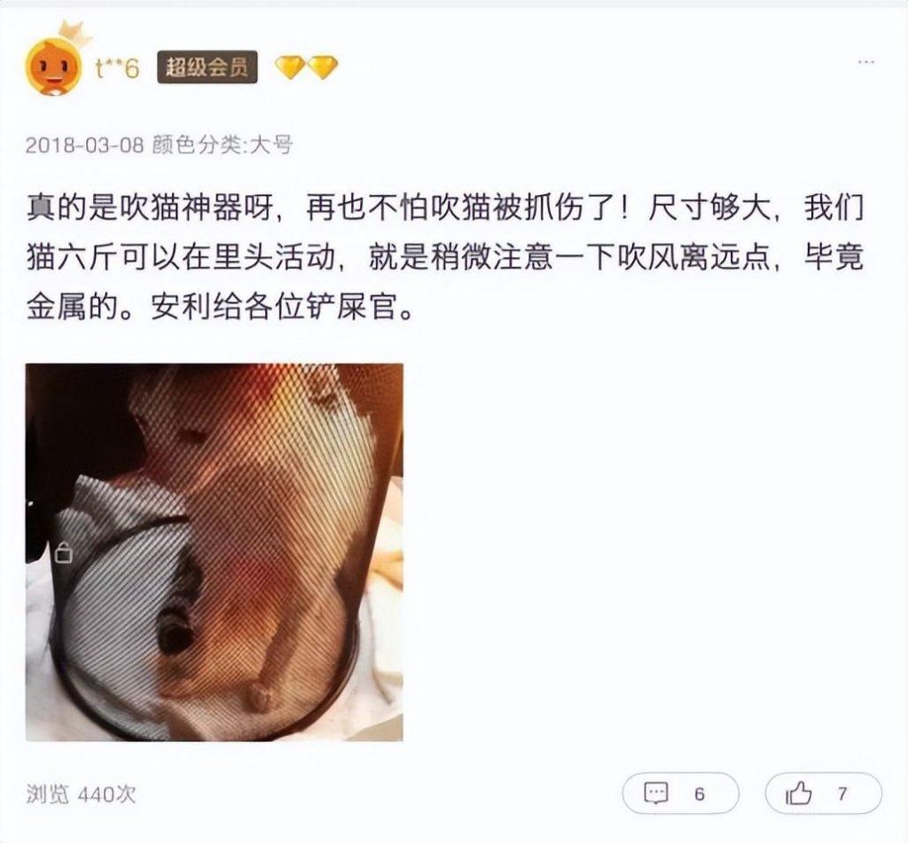 经常洗澡的猫咪很难给它吹干毛发?猫咪洗澡后吹干的小妙招(图8)