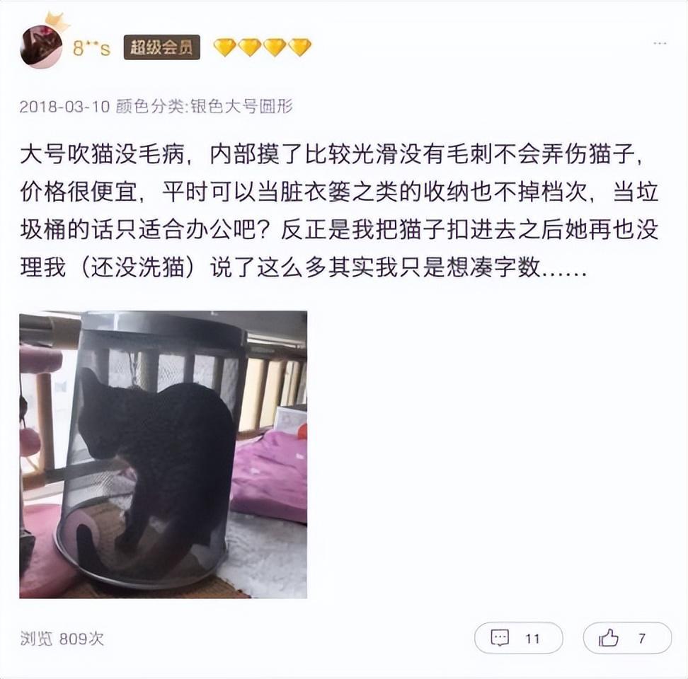 经常洗澡的猫咪很难给它吹干毛发?猫咪洗澡后吹干的小妙招(图12)