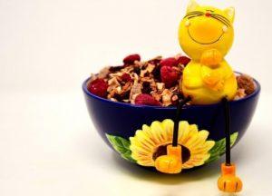 三个月猫咪隔几个小时喂一次?喂食时间和频率你知道吗(图5)