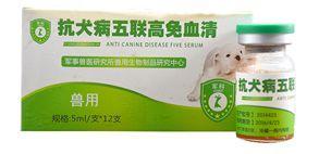 科普 | 犬瘟热初期症状和治疗方法(图3)