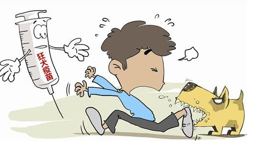 狗狗感染狂犬病会出现哪些症状?普通人被狗咬了后怎么处理?(图5)