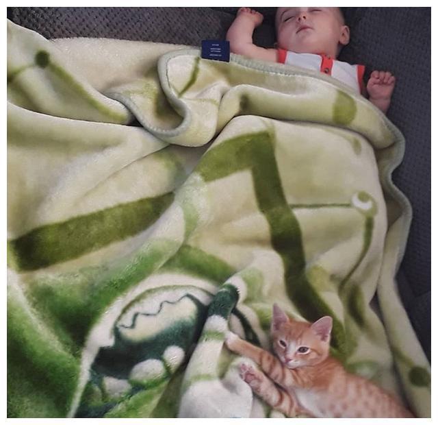 女子正在给孩子喂奶,突然感觉脖子痒,一看猫也想吃奶(图2)