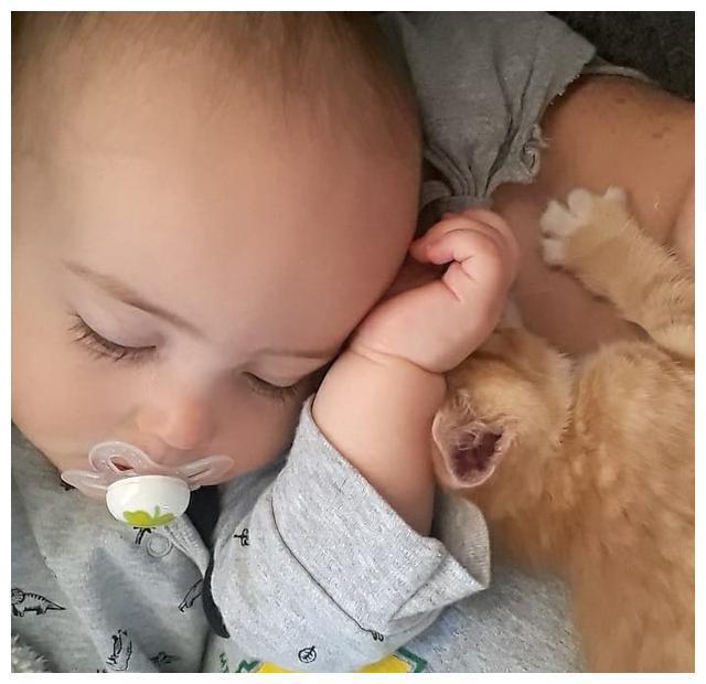 女子正在给孩子喂奶,突然感觉脖子痒,一看猫也想吃奶(图4)