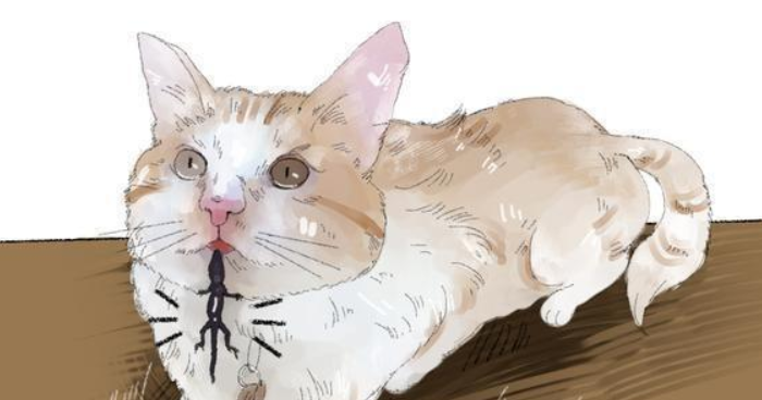 猫叼东西送给自己,正要感动,看后尖叫起来(图2)