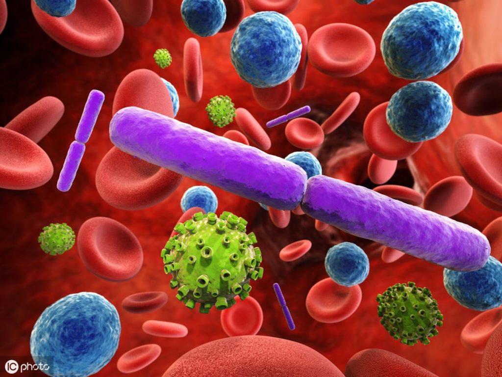 什么是犬冠状病毒?狗狗得了犬冠状病毒有什么症状?该如何治疗?(图4)